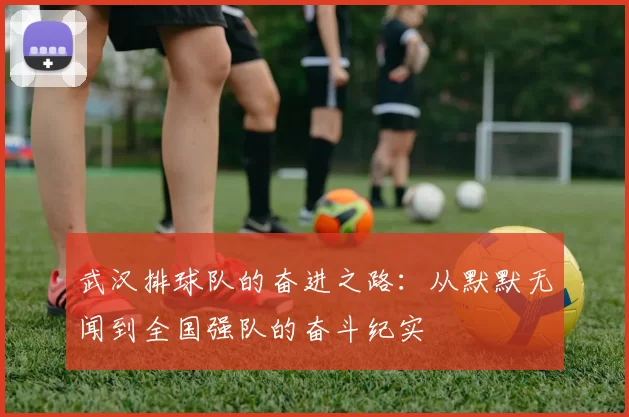 武汉排球队的奋进之路：从默默无闻到全国强队的奋斗纪实