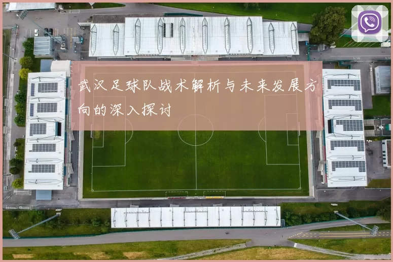 武汉足球队战术解析与未来发展方向的深入探讨