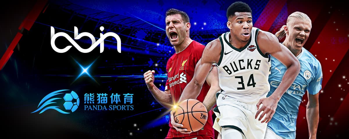 阵容中